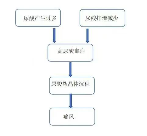 【健康科普】尿酸高就是痛风吗？(图1)